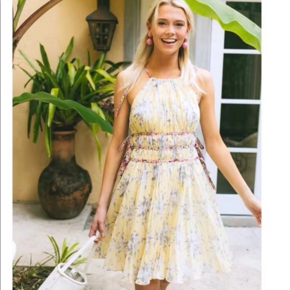 Rebecca Taylor Dresses & Skirts - Rebecca Taylor Lemon Rose pleated silk dress